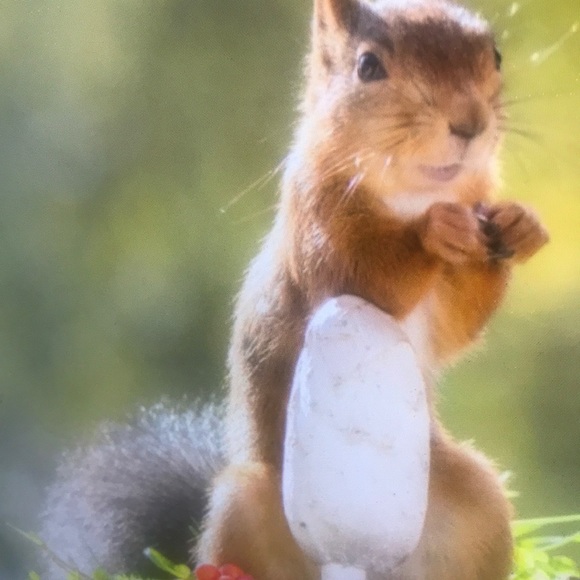 Hanna Hassan - Poshmark Profile Picture of Hanna Hassan (@emileechane482) on Poshmark