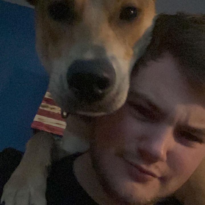 Profile Picture of Andrew boes (@its_boesy) on Tiktok