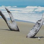 Profile Picture of Mindy Davies Winter (@poshygirl09) on Instagram