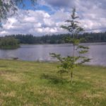 Profile Picture of Cristóbal Alberto solís fuente (@pototy_my) on Instagram