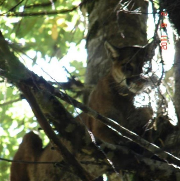 Lisa Lagerman - Poshmark Profile Picture of Lisa Lagerman (@lisalagerman) on Poshmark