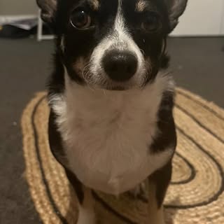 Profile Picture of Mitchell Battle (@battle.mitchell) on Instagram