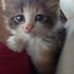 Profile Picture of Matthew Woodall (@matthew.woodall.5851) on Facebook