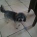 Profile Picture of Hans Kern (@hans.kern.923) on Facebook