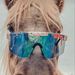 Profile Picture of 🇺🇸🌵Annabel🌵🇺🇸 (@hackert1010) on Pinterest