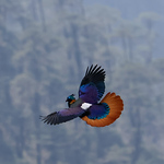 Profile Picture of Peter Crosson (@crosson_p) on Flickr