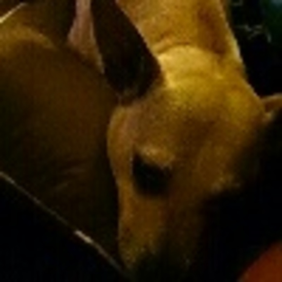 Profile Picture of Steven Salisbury (@socal4life89) on Poshmark