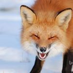 Profile Picture of Shawnna Carter (@shawnna.carter.96) on Instagram