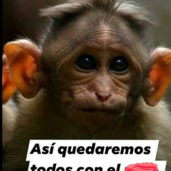 Martin Luquin - Poshmark Profile Picture of Martin Luquin (@martinluquin) on Poshmark