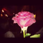 Profile Picture of Roberto De Cubellis (@ro.decu) on Instagram