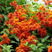 Profile Picture of Manju Pillai (@manjupillai3969) on Youtube