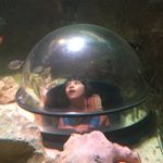 Profile Picture of David Donnarumma (@davedon72) on Instagram