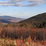 Profile Picture of Kerrie Cahill (@kcahill2219) on Instagram