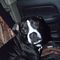 Profile Picture of George Baize (@george.baize.946) on Facebook