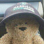 Profile Photo of Herbert Hamilton Bear (@herbert_bear) on Instagram