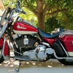 Profile Picture of Curt Lammers (@curtlammers) on Instagram