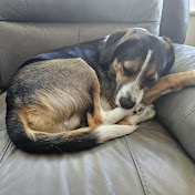 Mark Stoneman - Youtube Profile Picture of Mark Stoneman (@markstoneman5980) on Youtube