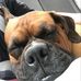 Profile Picture of Thomas Charest (@thomas.charest.144) on Facebook