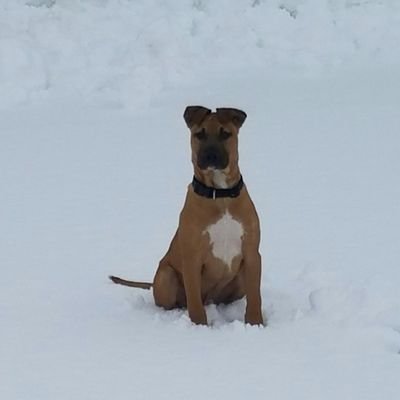 Profile Picture of Kenneth (@KenStumbaugh) on Twitter