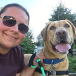 kate ludwig - Instagram Profile Picture of kate ludwig (@kateludwig0916) on Instagram