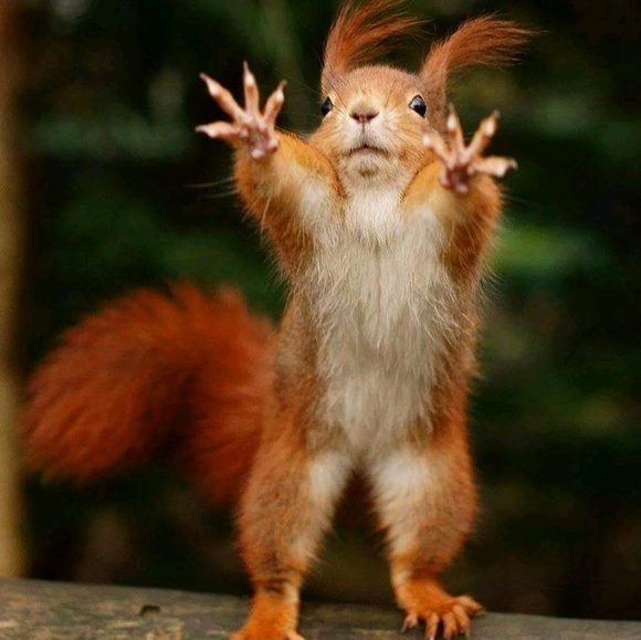 Profile Picture of Allen Long (@allenlong) on Poshmark