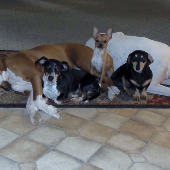 Profile Picture of Joni Plager (@jjplager) on Poshmark