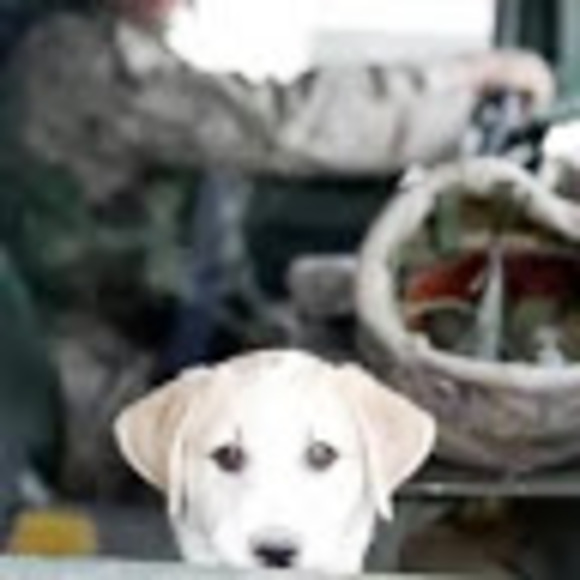 Profile Picture of Chris Morin (@morinc36) on Poshmark