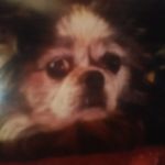 Profile Picture of Carol Williams Forkum (@carolforkum) on Instagram