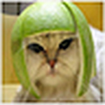 Profile Picture of Jeff Lam (@GhettoDSlap) on Flickr