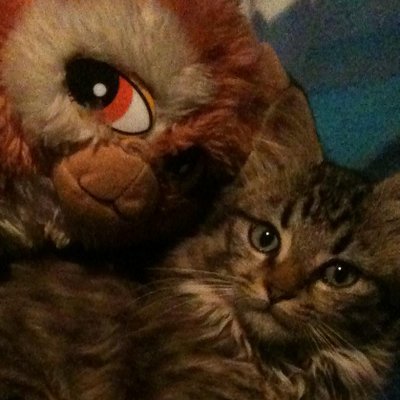 Profile Picture of Sam Hope, PhD (@SamPHope) on Twitter