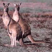 Profile Picture of Dezray Bowden (@dezray.bowden) on Facebook