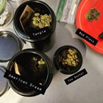Profile Picture of (Daylan) Wyatt Miller (@highlifepappi) on Instagram