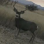 Profile Picture of Jacobmontijo (@jacob_montijo) on Instagram