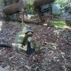 Profile Picture of Jon Yuan (@yuan_jon) on Twitter