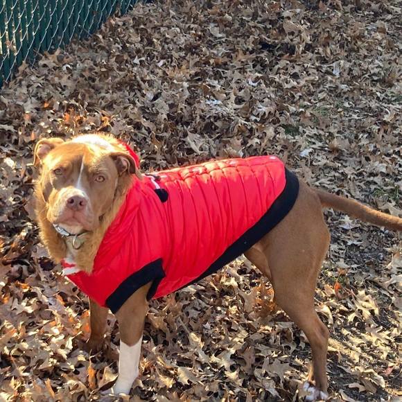 Profile Picture of Chris Muschany (@cmuschany) on Poshmark