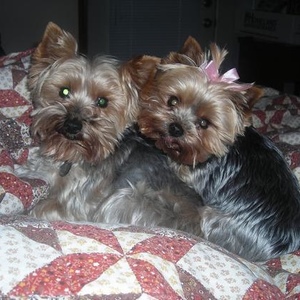 Profile Picture of Dexter Deedee (@283276888) on Myspace