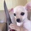 Profile Picture of Wanda (@@wandabt) on Tiktok