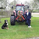 Profile Picture of Mark Dinkelman (@markdinkelman) on Instagram