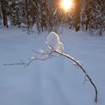 Profile Picture of Ernston (@ernstonrameshd) on Instagram