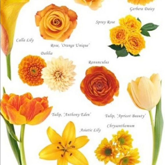 Profile Picture of Tiffany Swinarski (@tcswin35) on Poshmark