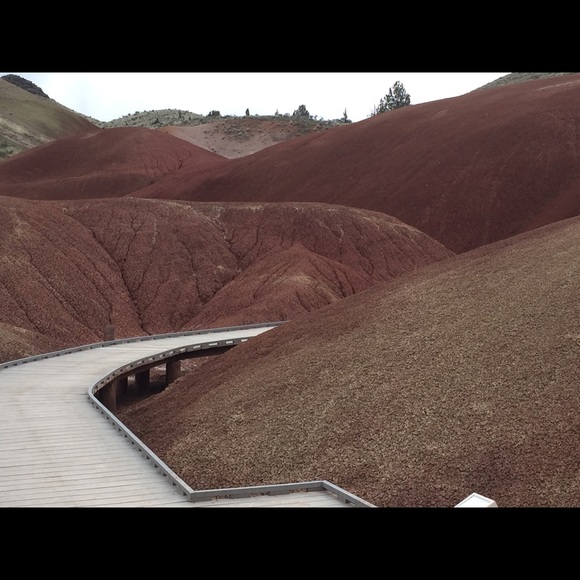 Profile Picture of Ron Beard (@hockeyfan99) on Poshmark