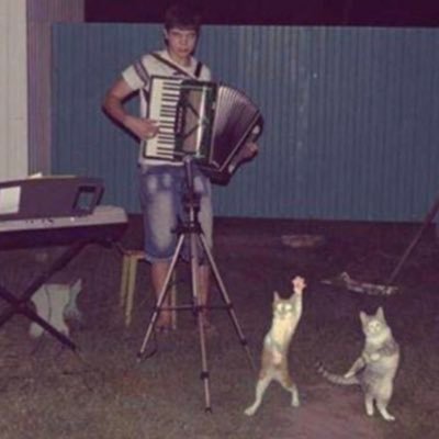 Profile Picture of Julia Stickler (@45d1022e331548c) on Twitter