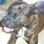 Profile Picture of sarah.g.myr (@sarah.g.myr) on Instagram