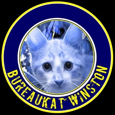 Profile Picture of Winston Bureaukat (@Winston_topkat) on Twitter