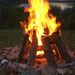 Profile Picture of Wayne Reitz (@reitz0165) on Pinterest