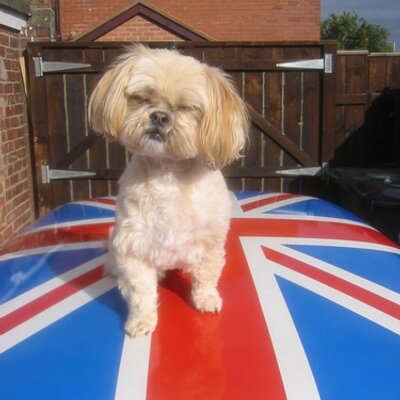 Profile Picture of Ben Pippin (@@ben_pippaz) on Twitter