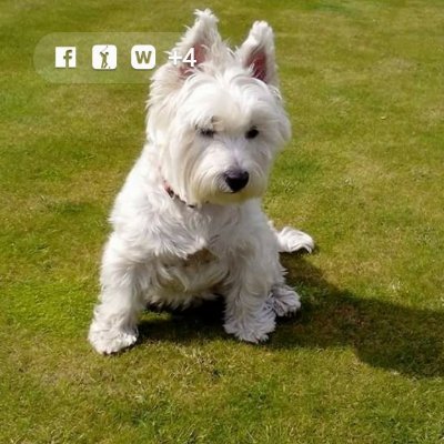 Profile Picture of Alan James Barber (@AlanJamesBarbe2) on Twitter