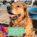 Profile Picture of Marilyn Magnuson (@marmagnuson) on Instagram