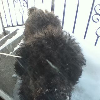 Profile Picture of Daniel Lysek (@Daniel-Lysek) on Facebook