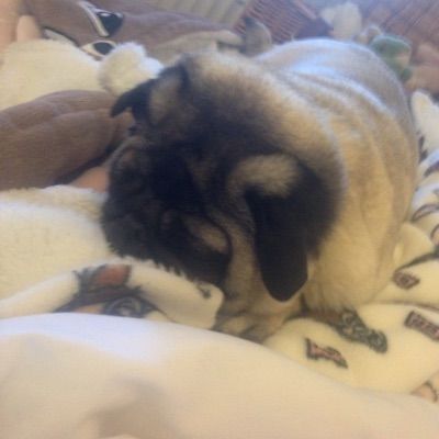 Profile Picture of Leonie joy Chisholm (@leonie.chisholm) on Tiktok